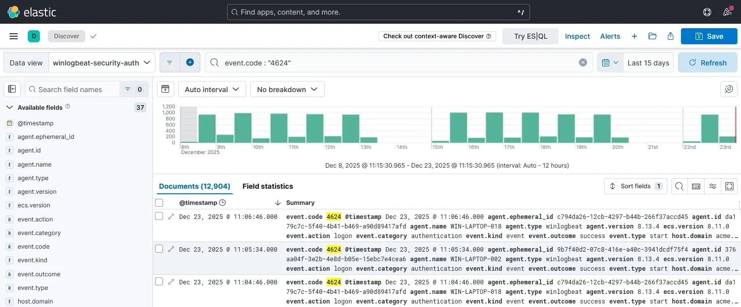 Raw Elasticsearch document example